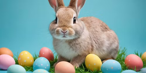 BUNNY BONANZA - Sweet Treats, Activities, & Pics with a Special Some-Bunny