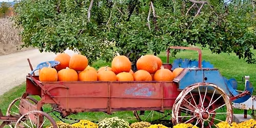 Fall Fun at The Pavilion at St. Luke\u2019s Village, Hazleton 