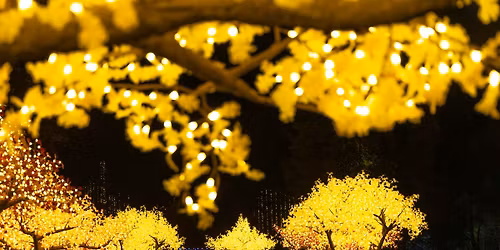 Sensory Night at Garden Glow