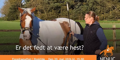 Foredrag med Martha Voss i Roskilde: Er det fedt at v\u00e6re hest?