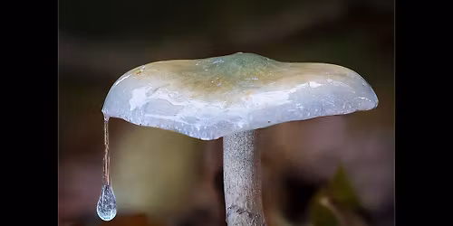 Internal League Round 3 - Open Subject