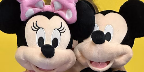 Mickey & Minnie Play Day Camp at The Playroom