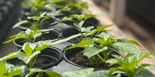 Kilbourn Greenhouse Annual Plant Sale - 30th Anniversary 