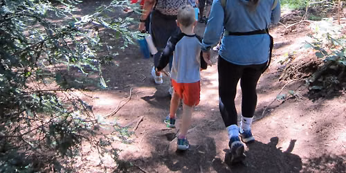 Family Nature Adventures: Reptiles