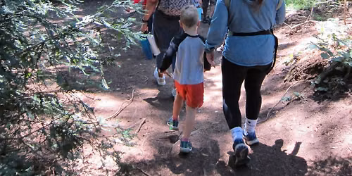 Family Nature Adventures: Reptiles