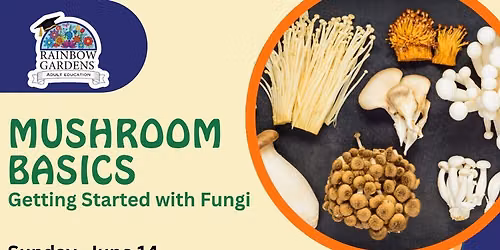 Mushroom Basics: Getting Started with Fungi