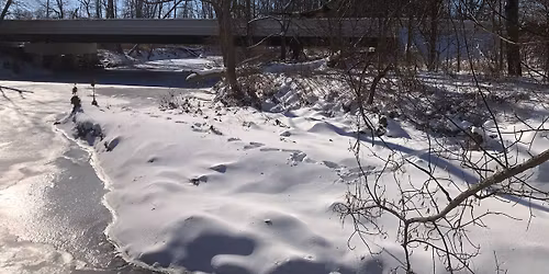 2026 Union SWCD Tree Sale 