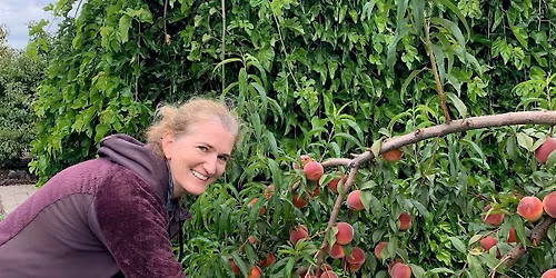 Chapter Meeting: Firewise Landscaping