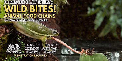 Homeschool: Wild Bites-Animal Food Chains! (AGES 13-16)