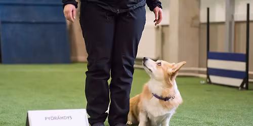 Rally -tokon MES tuplakisat su 14.12. 2025