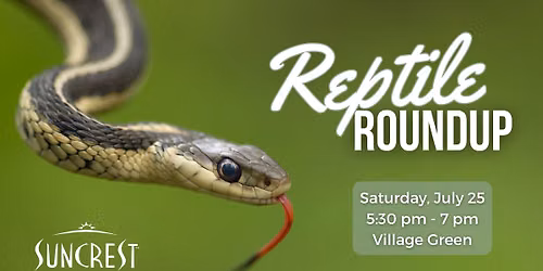 SunCrest Reptile Roundup