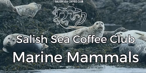 Salish Sea Coffee Club - Marine Mammals