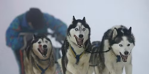 troph\u00e9e sylvette fristch