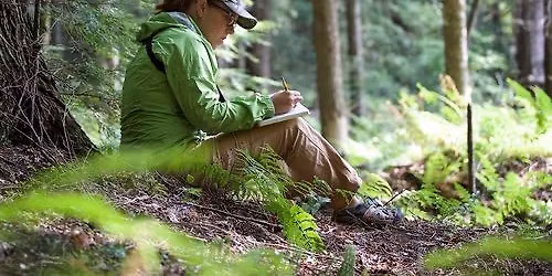 Slow Birding: Observing with Presence