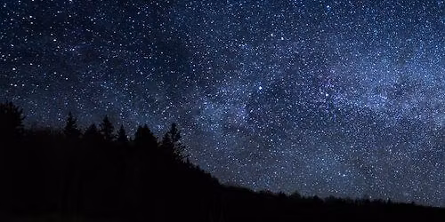 Night Nature Hike