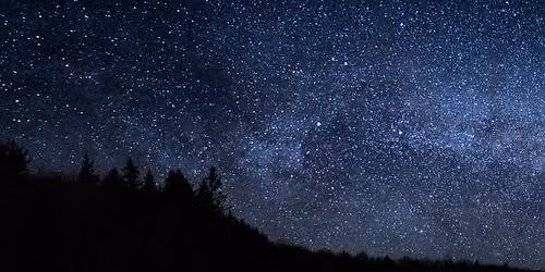 Night Nature Hike