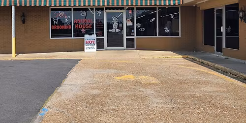 Christmas in the Plaza