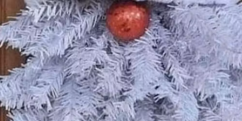 Santa\u2019s Last Stop Market