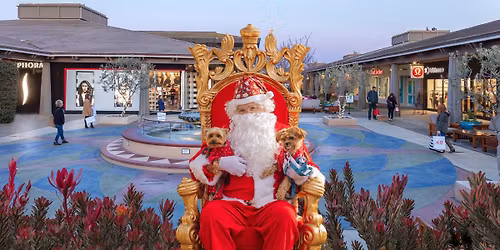 Santa Paws Holiday Photos | Holiday Pet Photos