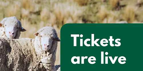 MerinoLink 2026 Conference