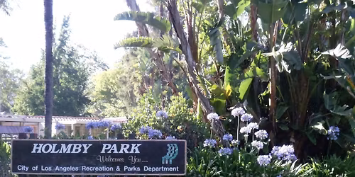 2nd Sunday FREE Yoga