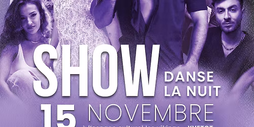 danse la nuit  avec les danseurs de " Danse avec les stars " 