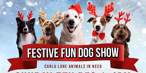 Christmas Fair & Fun Dog Show 