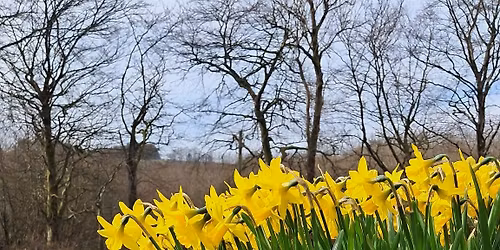 Cross Inn Community Cafe 