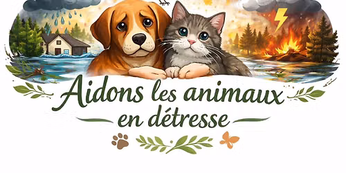Participation au vide-grenier d'Atout Coeur \u00e0 La Salvetat-St-Gilles