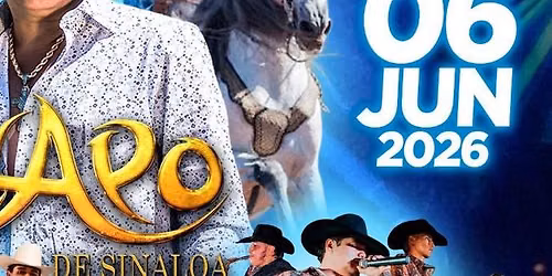 EL CHAPO DE SINALOA, GRUPO PREDOMINANTE Y MAS