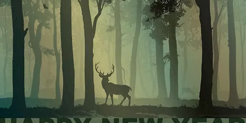 New Forest Folk Festival 2026