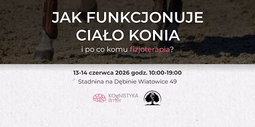 Jak funkcjonuje cia\u0142o konia i po co komu fizjoterapia? 