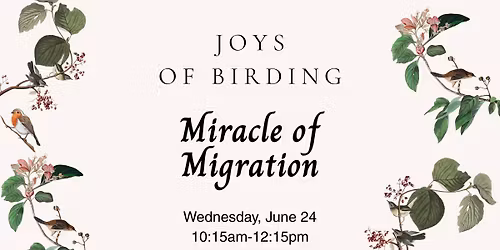Joys of Birding: Miracle of Migration