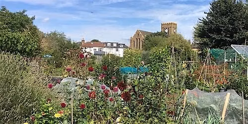 Growing 101 with Ealing Allotments - Lunch and Learn at Perceval House