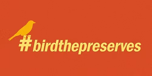 Bird Walk @ Eggers Grove 