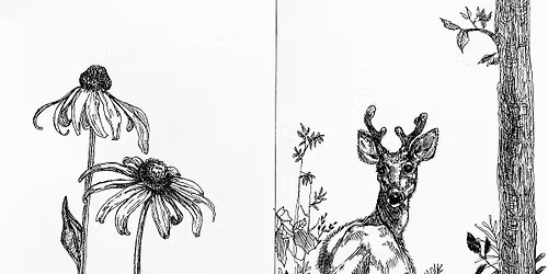Drawing Classes