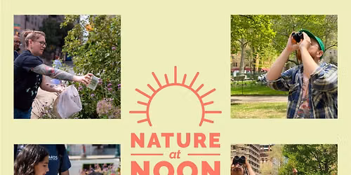 Nature at Noon