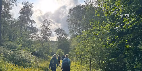 May Evening Walk - Hetchell Woods - 5miles\/8km 