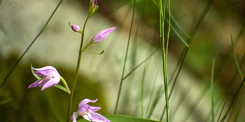 Konference K vybran\u00fdm ot\u00e1zk\u00e1m praktick\u00e9 ochrany p\u0159\u00edrody