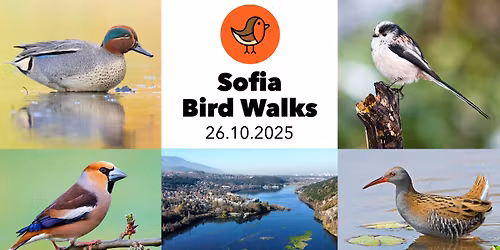 Sofia Bird Walks (26.10.2025) - \u041f\u0430\u043d\u0447\u0430\u0440\u0435\u0432\u0441\u043a\u043e \u0435\u0437\u0435\u0440\u043e