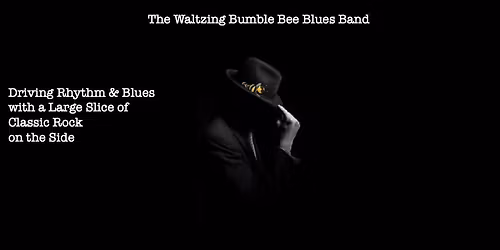 The Waltzing Bumble Bee Blues Band - Live