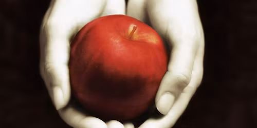 Silent STL: January Book Club - Twilight