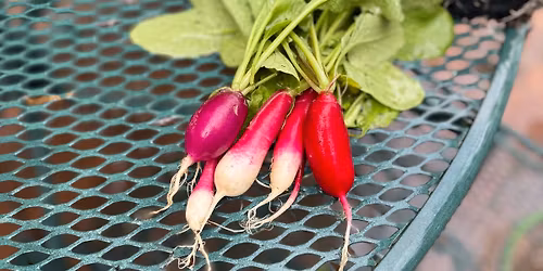 Knoxville Farmer's Market Scavenger Hunt