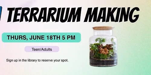 Mini Jurassic Terrariums