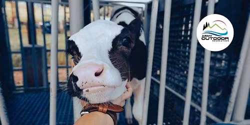 Farm Fun Day Adventure