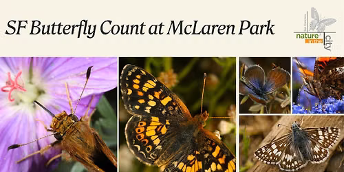 San Francisco Butterfly Count 2026 -- McLaren Park