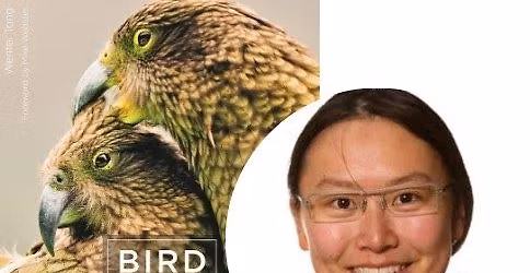 Cayuga Bird Club November meeting