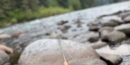 Reel Women: A Fly-Fishing Adventure in Bozeman