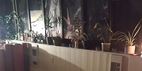 Restorative Yoga & Sound Healing