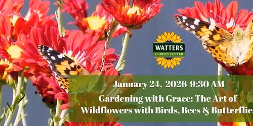 Free Garden Class: Gardening with Grace: The Art of Wildflowers with Birds, Bees & Butterflies